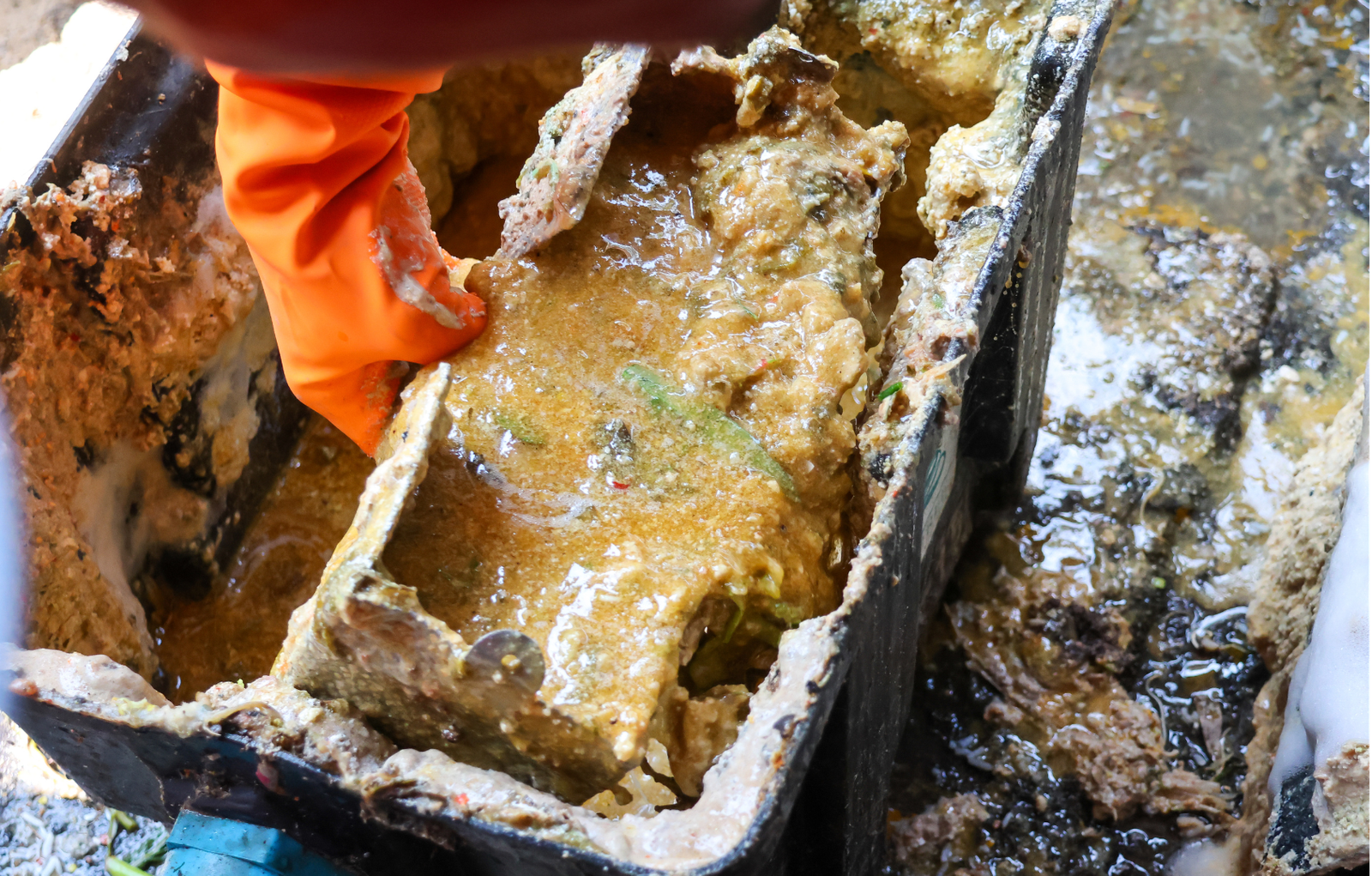 sedot limbah murah di surabaya